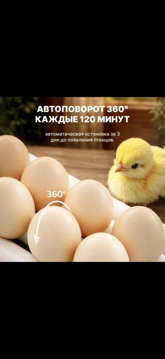 Инкубатор Fermer