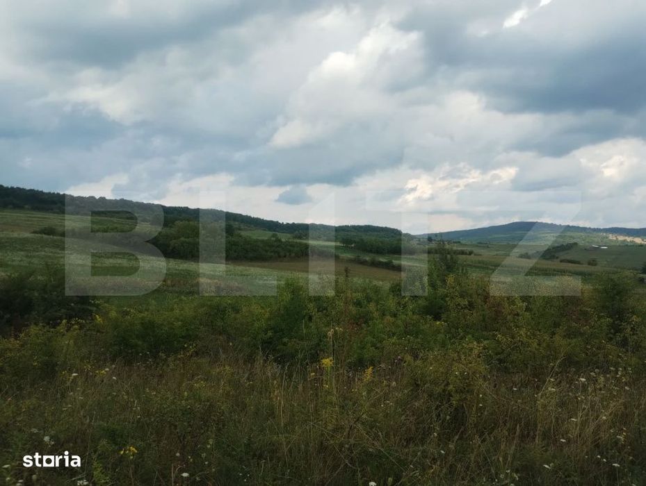 Teren extravilan, 51 ari,zona Sigmir