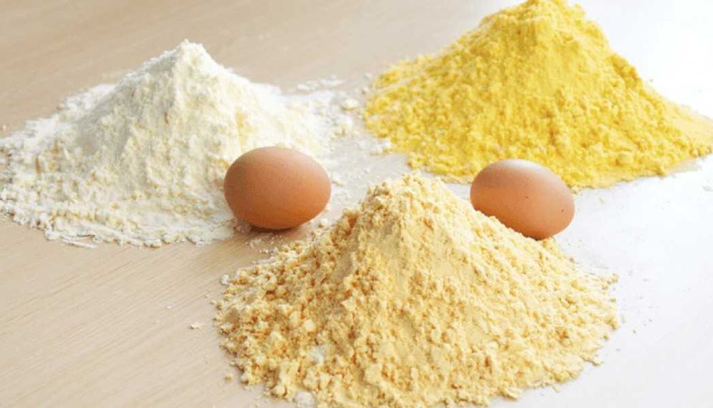 Сухой яичный белок Альбумин 120000сум - 1кг