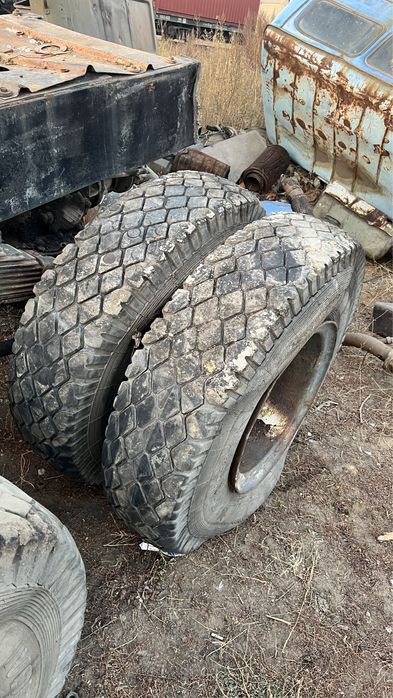 Баллоны 12.00, камеры 12, флиппер