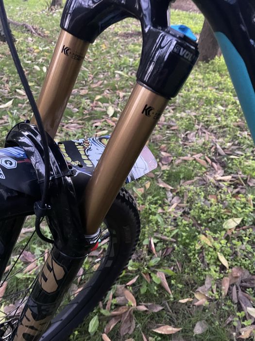Yt capra 2018 kashima
