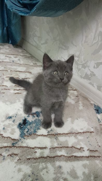 Полученна из правильной вязки