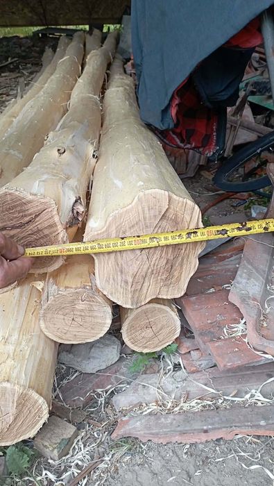 Stalpi Salcam pentru balansoar