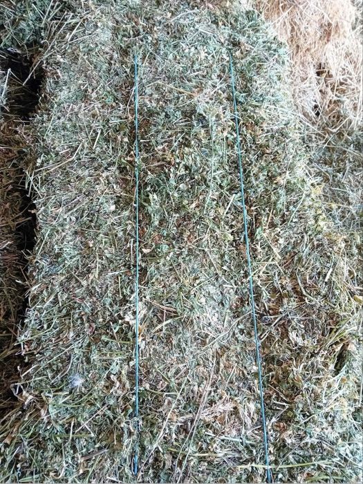 Vand baloti de lucerna