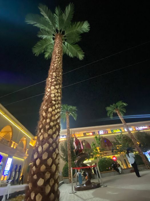 Samarqand | Hovli dizayni uchun suniy palma 3m–8m — Eco Palma -30%