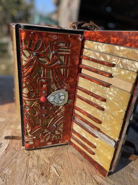 Acordeon vintige