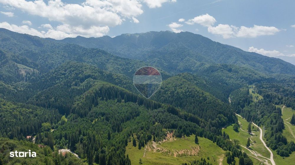 Teren intravilan, 3000 mp, Dâmbu Morii