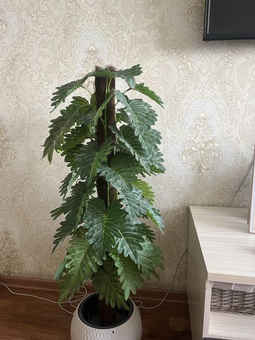 Продаю искуственное растение