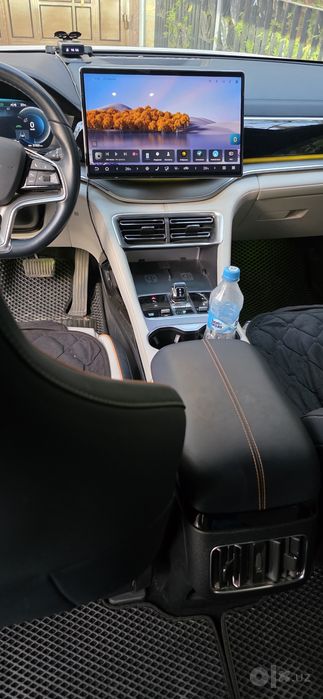 1BYD Чемпион гибрид