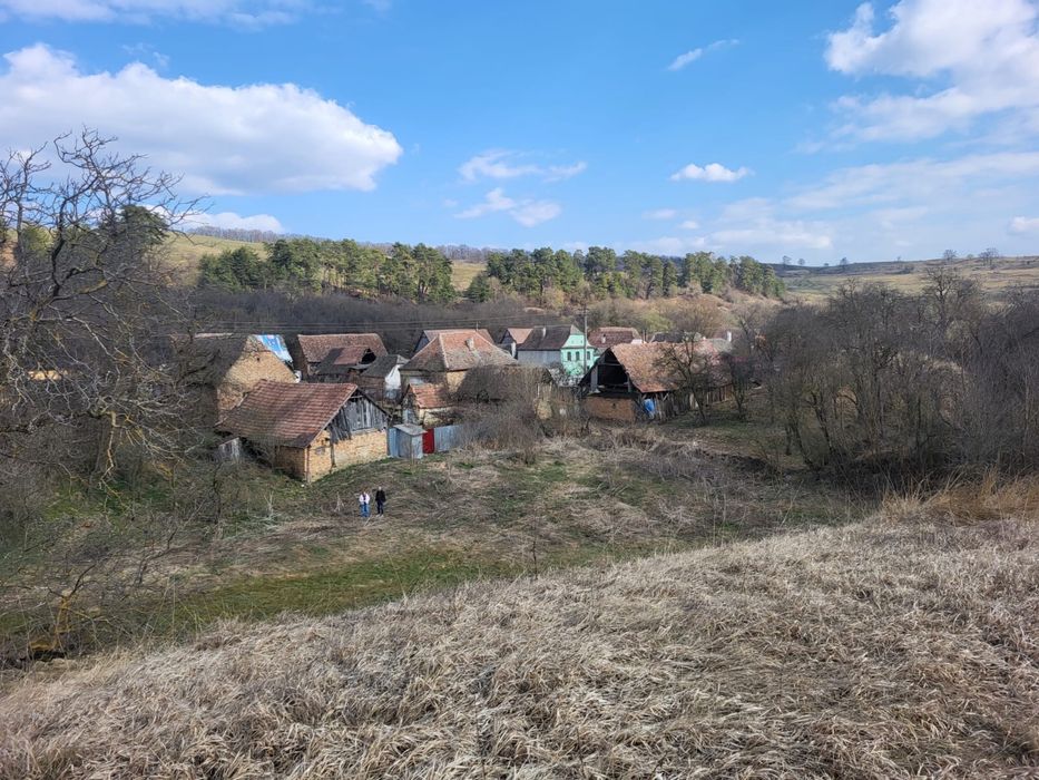 Teren 1 hectar cu casa