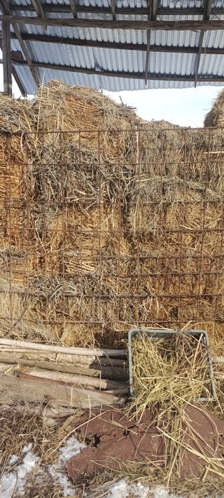 Продам сено в тюках