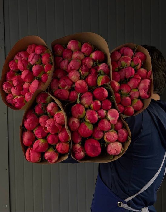 Цветы букеты пионы Розы