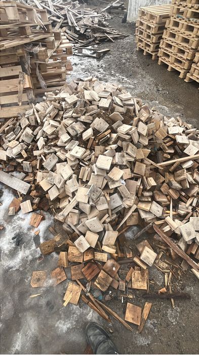 Дерево бесплатно