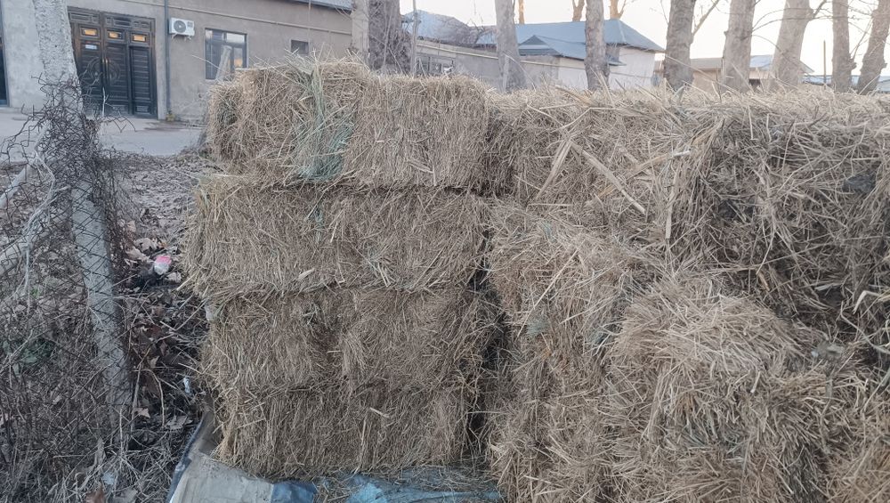 Pres sotiladi. O'tli mayin o'tdan qilingan