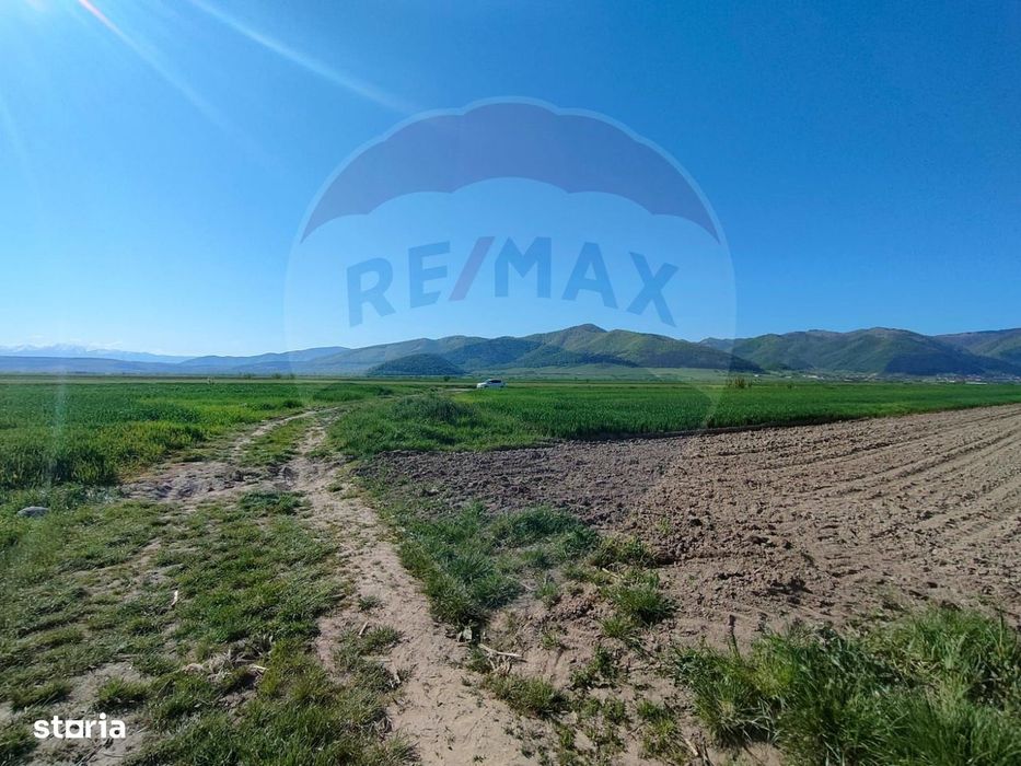 Panoramă deasupra lumii Teren de poveste Gura Râului, zona Peste Grui