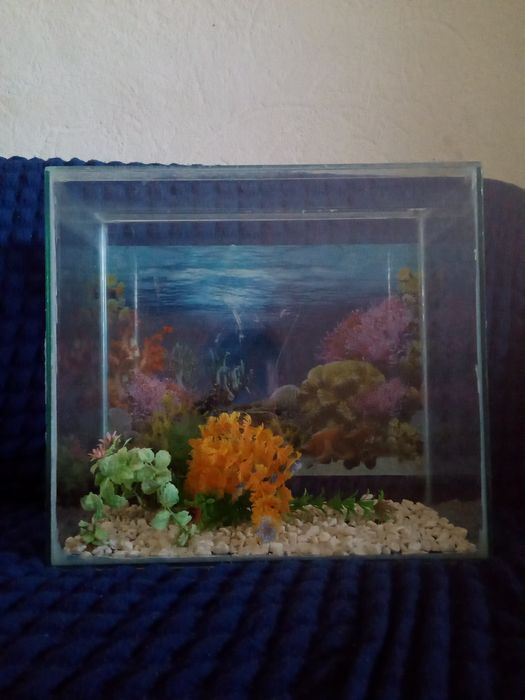 Аквариум сатылады