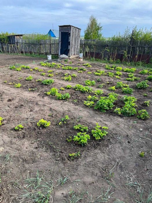 Продам дачу д/о Жемчужина