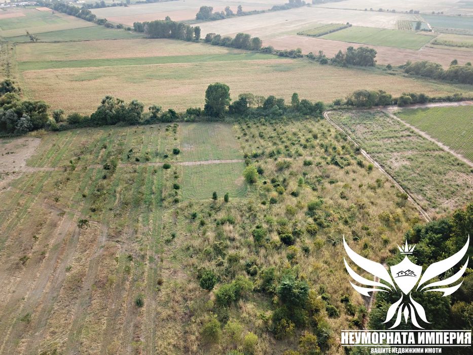 Продава се Парцел в с. Боянци, Област Пловдив - 29000 кв.м за 5 €/кв.м - Снимка #2