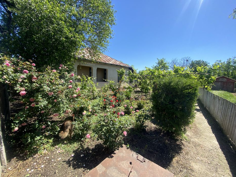 Vand casa cu teren in loc Urleasca, jud Braila