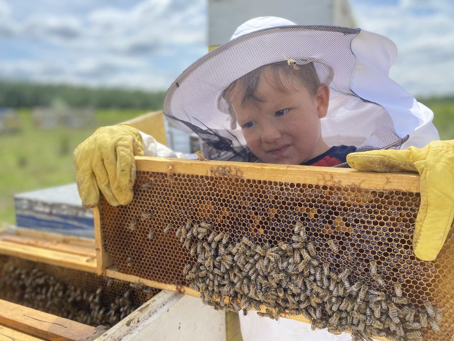 Miere de albine naturală