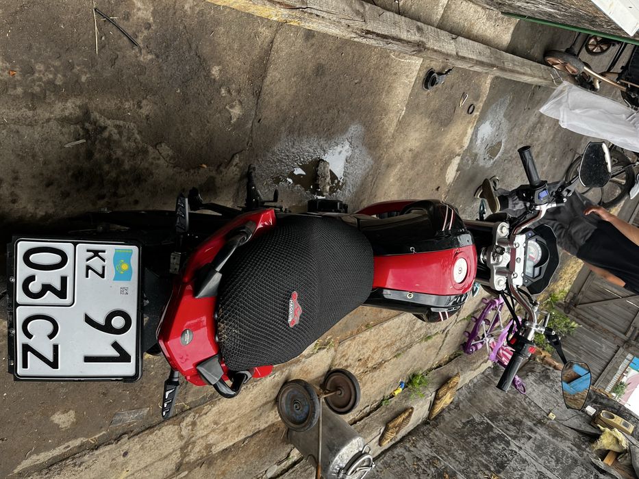 Raser Nitro Pro
