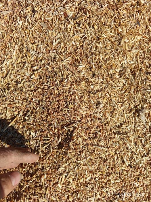 Зерно отходы мешках