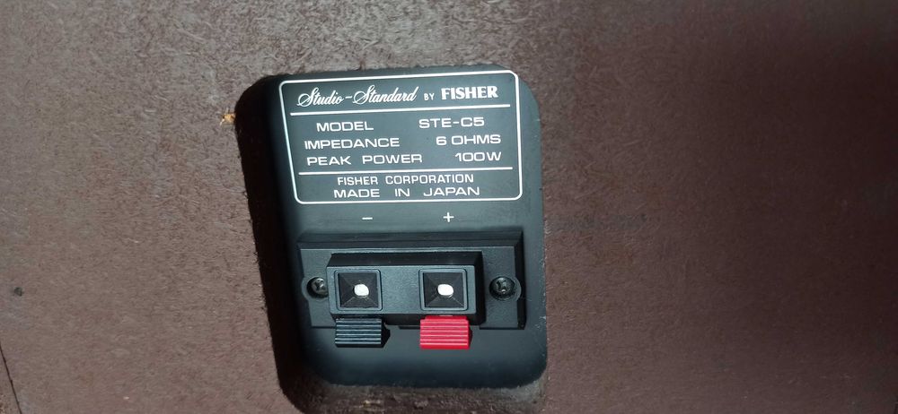 Boxe FISHER STE-C5 made in JAPAN bookshelf speakers carbon metal