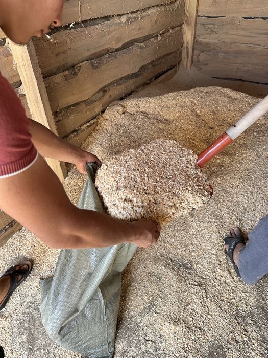 Опилки древесина