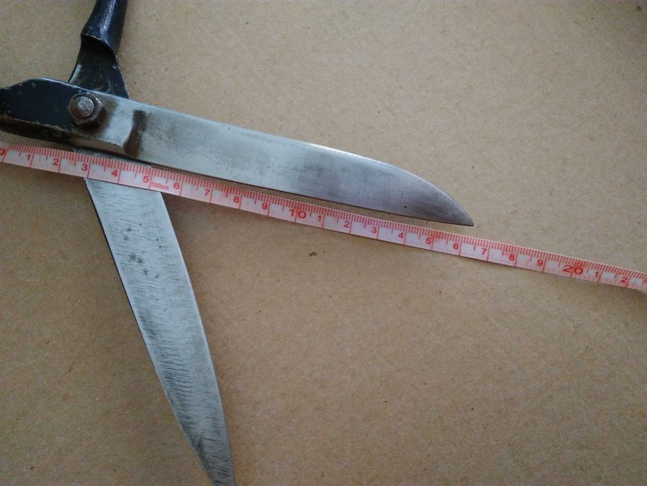 Голяма масивна ножица