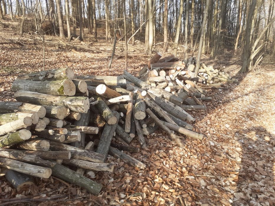 Lemne de foc la 350 lei metru eseță tare cu transport gratuit