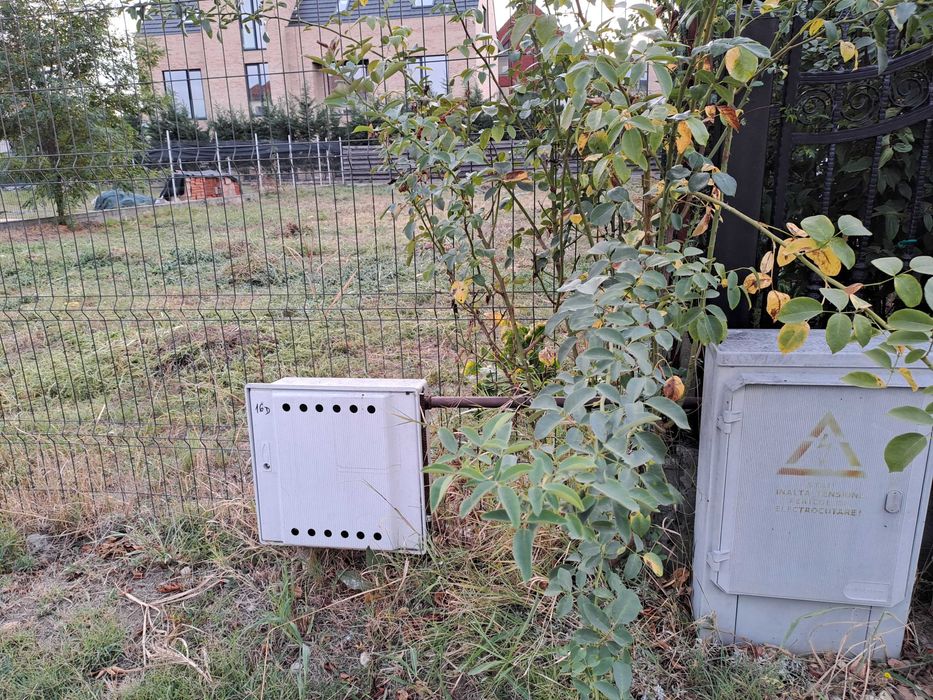 Teren de vanzare Tamasi / Corbeanca [ toate utilitatile disponibile ]