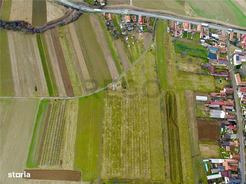 RECO, Teren cu livada de ciresi, Zona Auseu, Bihor
