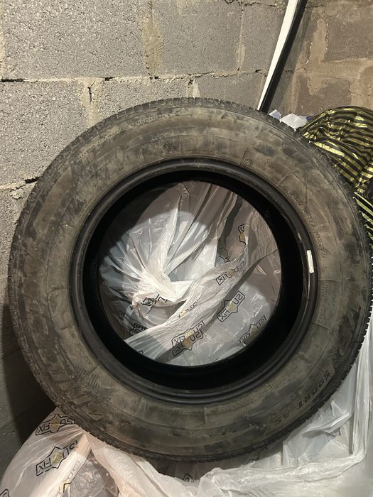 Шины (всесезонные) Bridgestone Dueler Sport AS