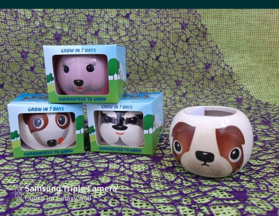 Необычный подарочек деткам