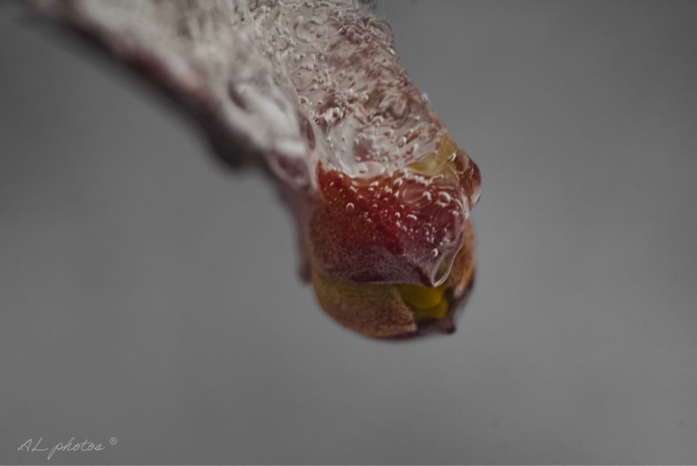 Зенит -Е с Индустар 50-2 3,5