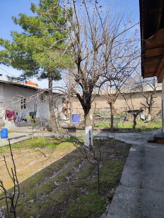 Ул Фергана Йили, ПЕРВАЯ ЛИНИЯ! 10 Соток. Соток