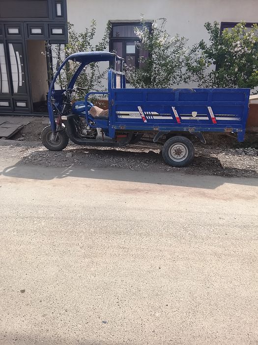 Kuk muravey sotiladi