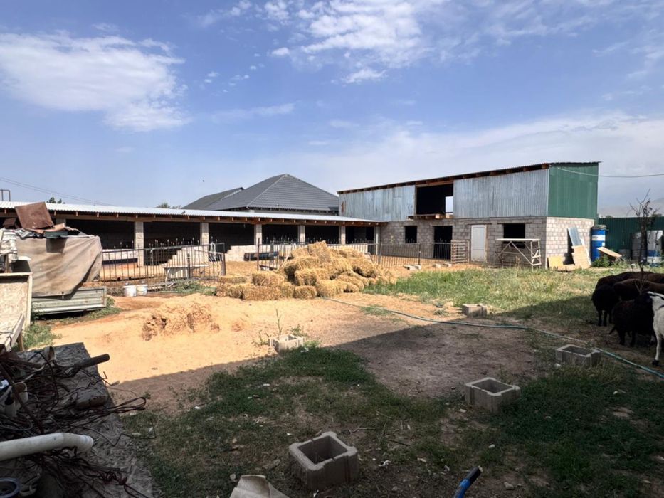 Продам дом в селе Шамалған