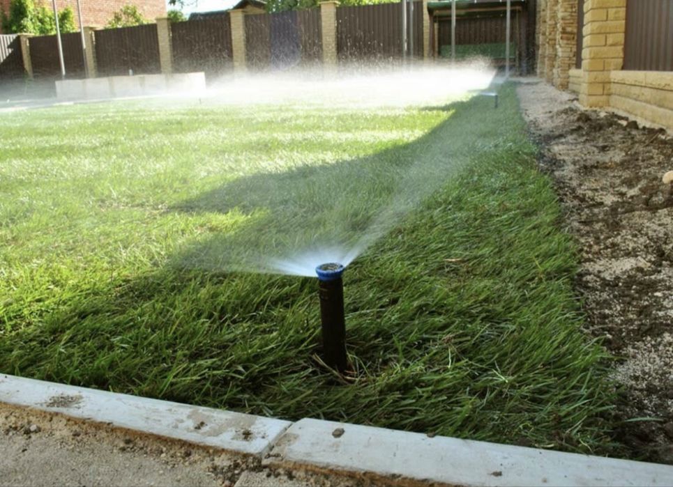 Gazon-посевной рулонновый