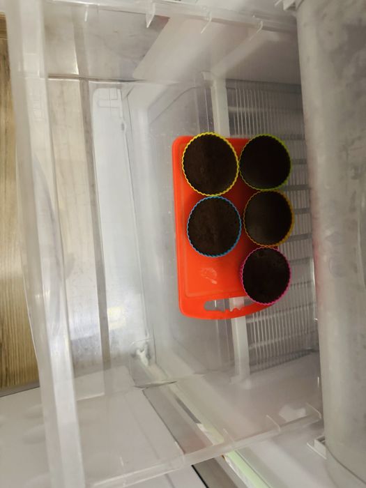 Продам хододильник