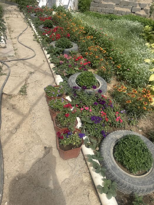 Продажа дома продажа дома