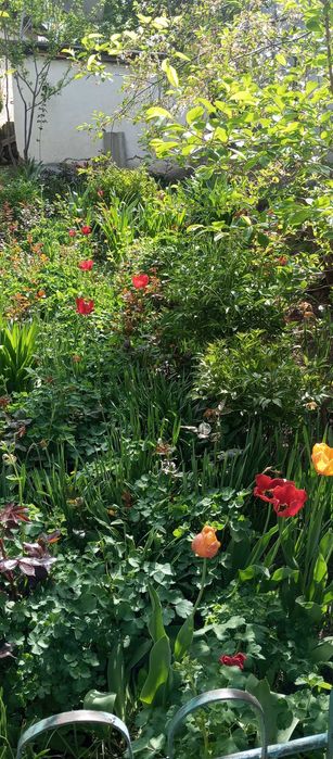 Продам срочно дом