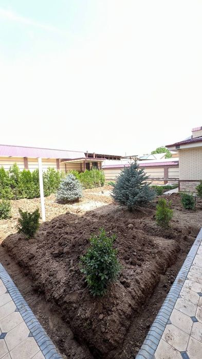 Газон екиш+поливной система ландшафт