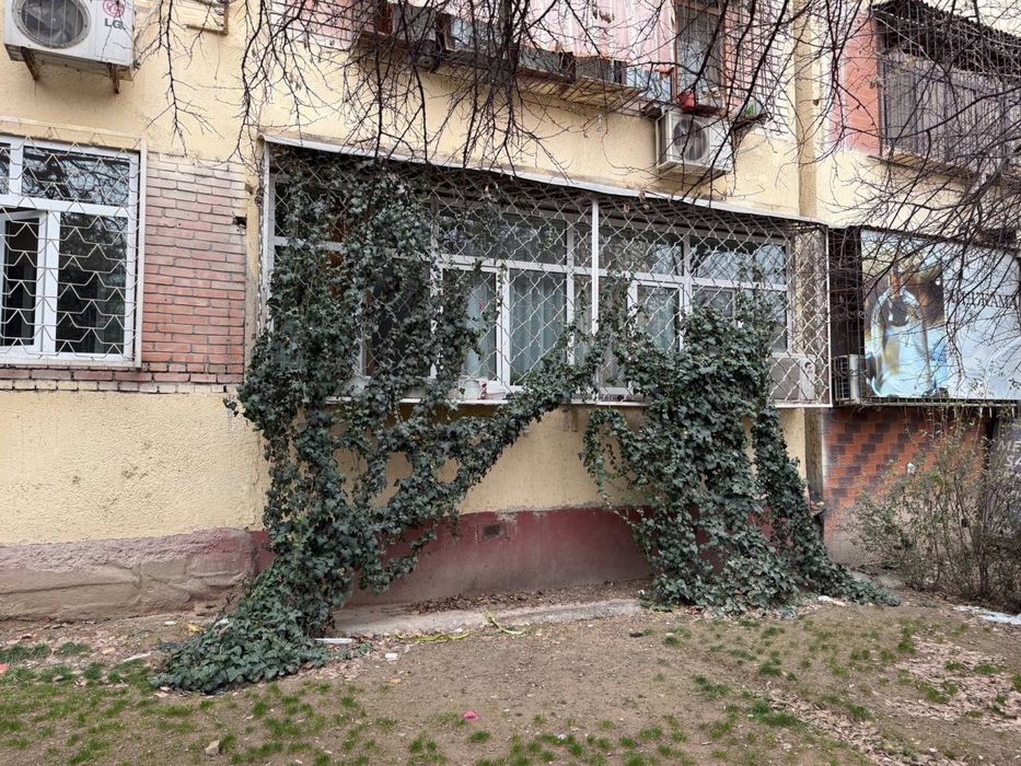 Своя Под офис 1-линия вдоль дороги 1-этаж 5-квартал 3-комн