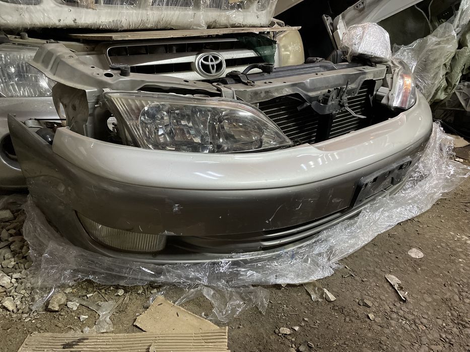 Носкат, перед, морда на Toyota Windom 20