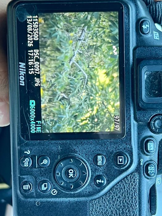 Nikon D3500 + 2 объектива