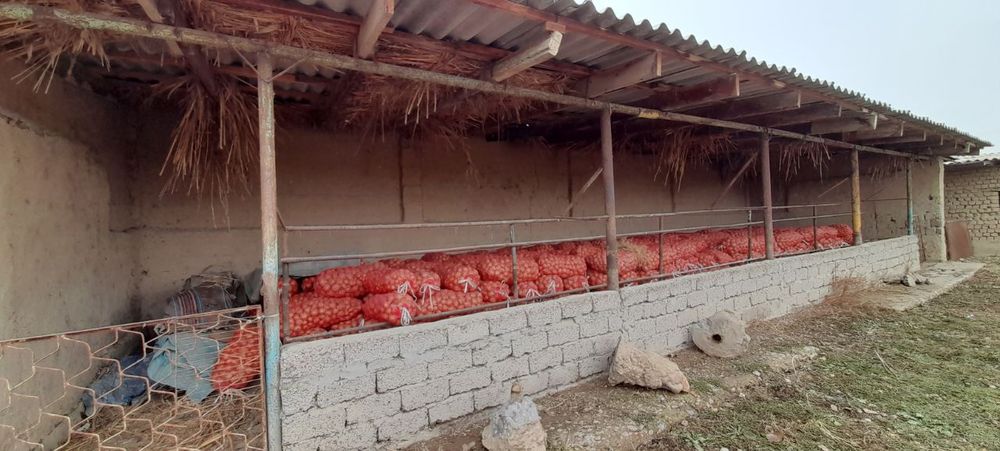 Dala hovli Ferma (45 sotix) Oldida Suv Oqib otgan