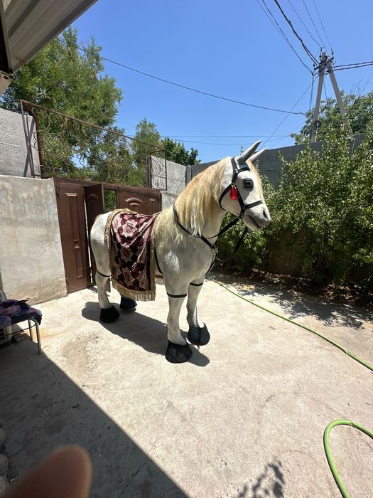 (Сотилади|Продается|Заказга|Бизнес|Ayiqlar|