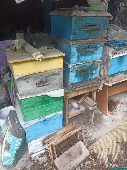 Улики пчелиные улья