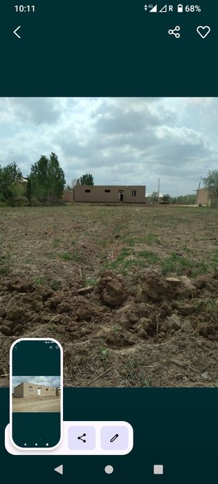 Беруний Жой сотилади